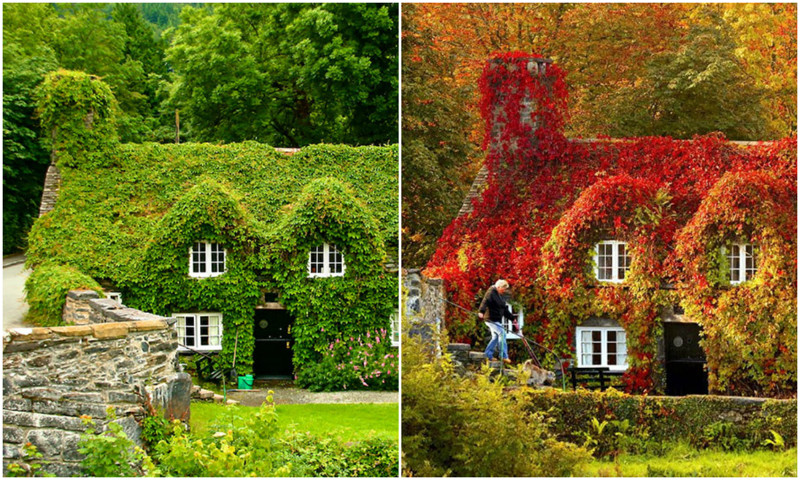 Осенние преображения: пейзажи до и после