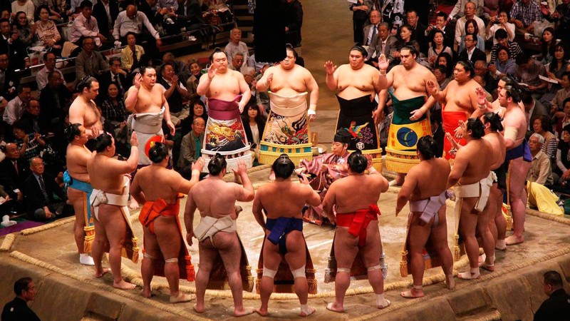 История сумо единоборства, история, сумо, япония