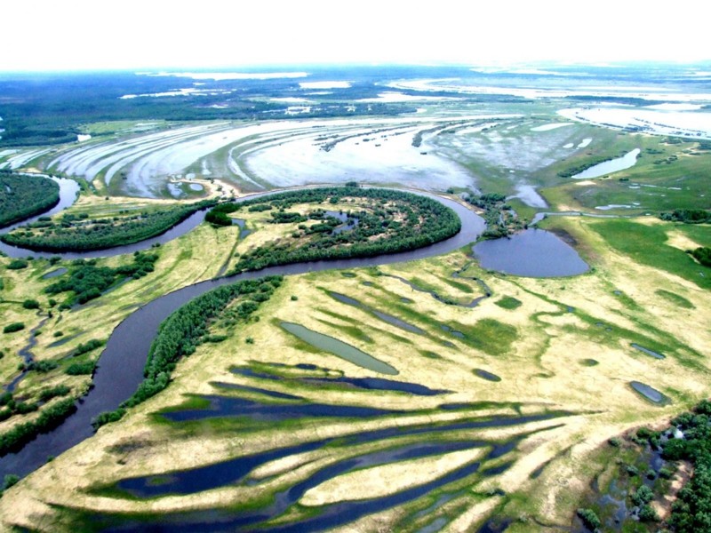Пусть и вас впечатлит дикая красота грандиознейшего болота в Сибири