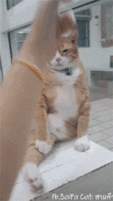 Хороший актер