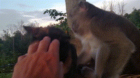 Ты все делаешь не так