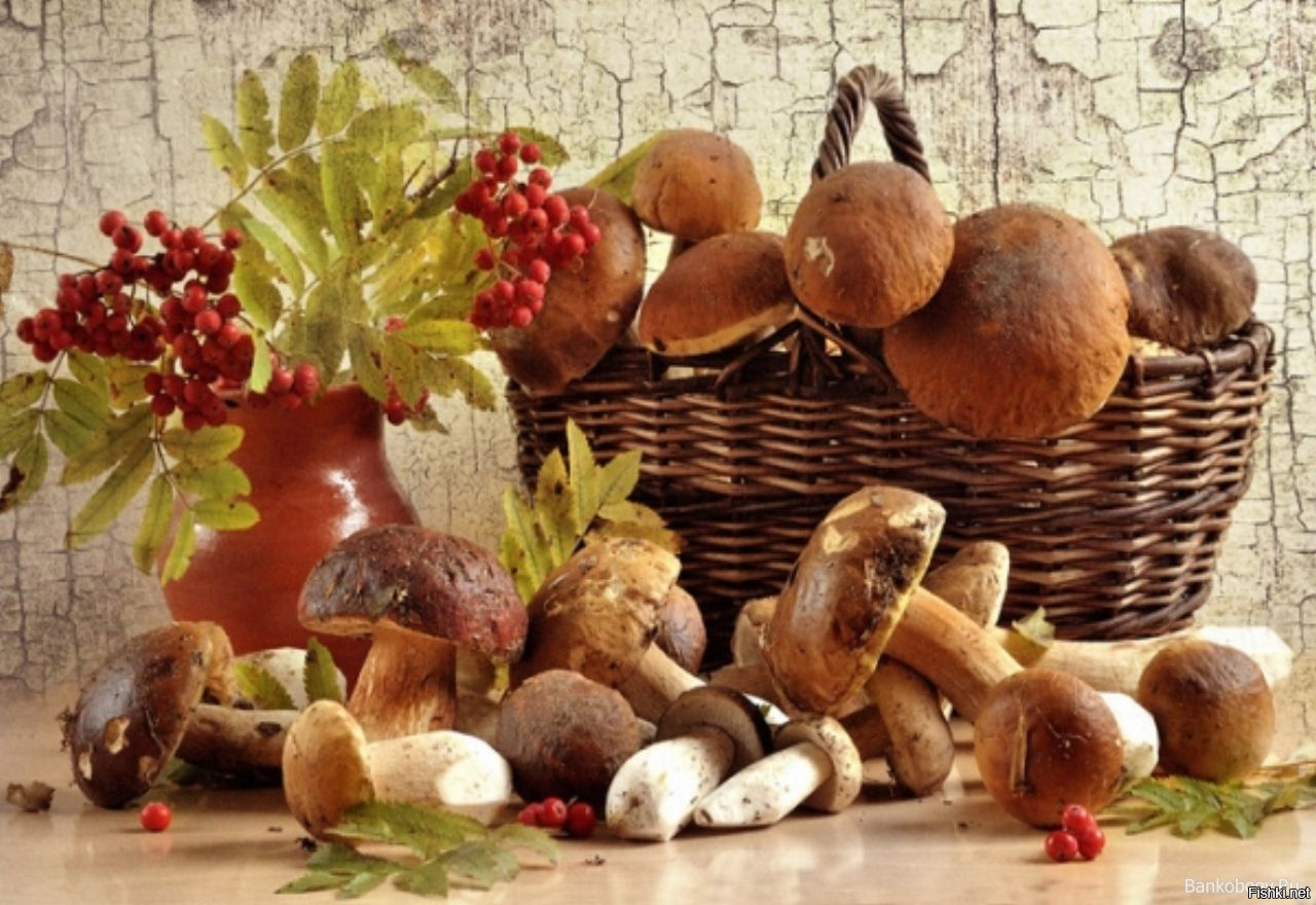 Натюрморт грибы и ягоды