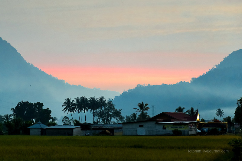 Индонезия. Джунгли и деревенская жизнь Суматры
