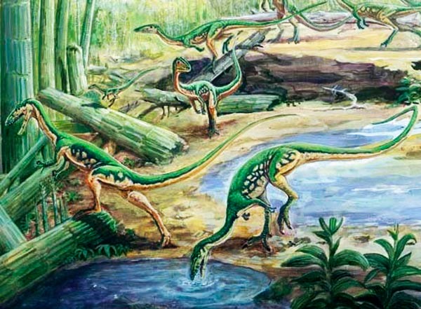 Пресмыкающиеся эра появления. Целофизис динозавр. Целофизис прогулки с динозаврами. Магия древних рептилий. Целофизис энциклопедия картинка.
