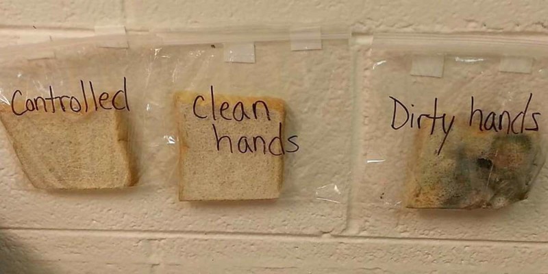 Отвратительно, но эффективно: Как научить детей мыть руки