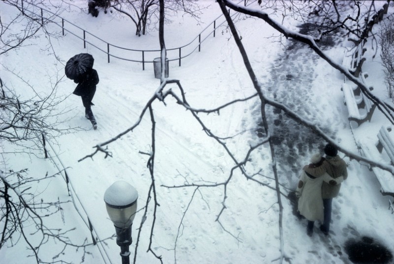 Центральный парк зимой.
