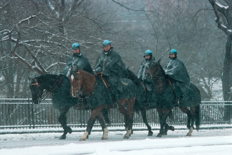 Конный патруль в Центральном парке