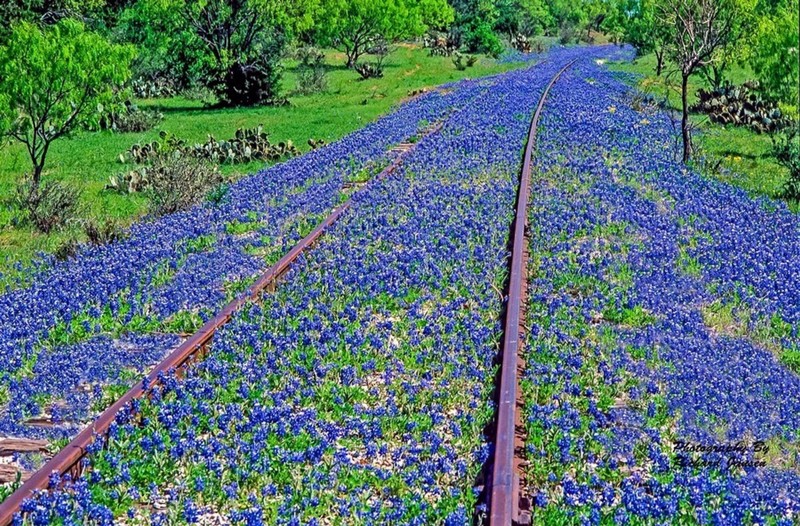 Железная дорога в Техасе 