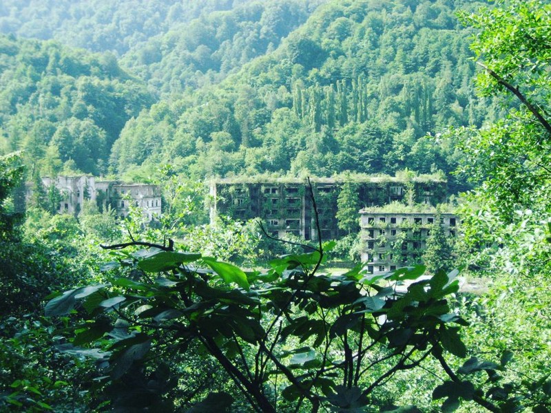 Город-лес, Абхазия 