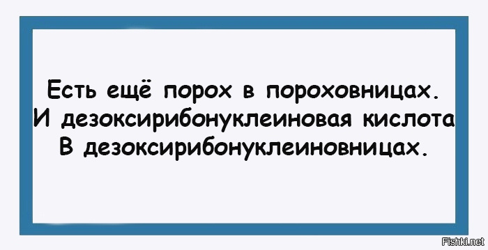 Есть еще порох в пороховницах картинки