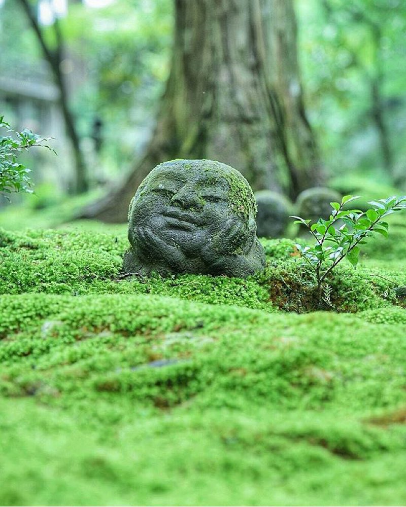 Лесные божества в Японии 