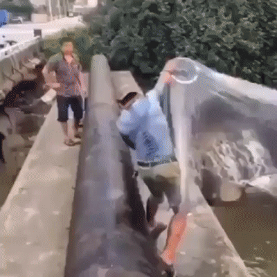 Рыбалка задалась