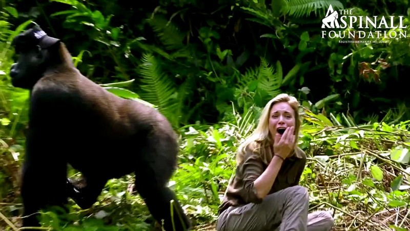 Миллионер-эколог познакомил жену со своей обезьяньей семьей