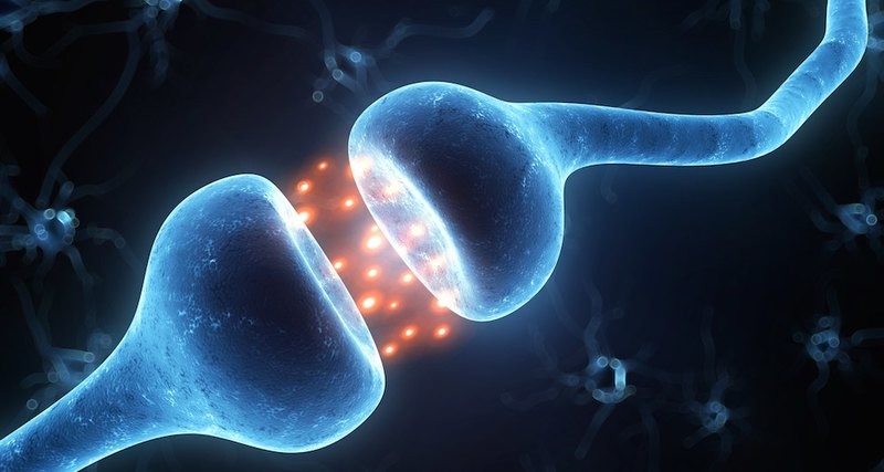 Коммуникация между нейронами проходит через примерно миллион миллиардов синапсов, и это чрезвычайно запутанный и сложный процесс.