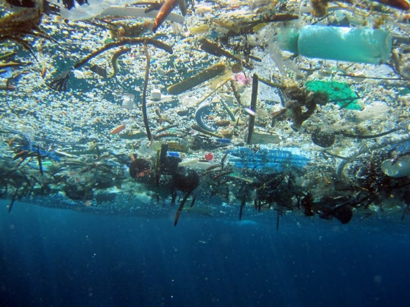 Тихоокеанское мусорное пятно предлагают признать государством