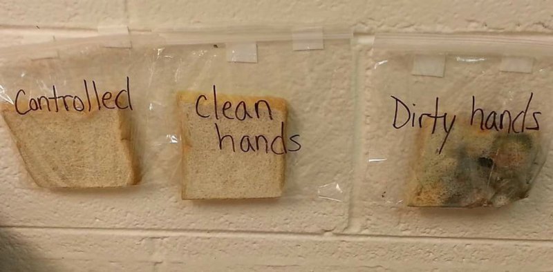 Учительница объяснила детям почему надо мыть руки