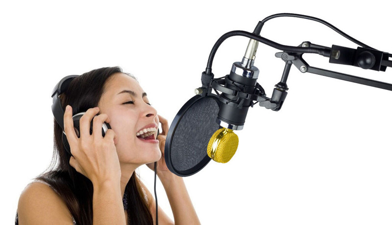 Стойки для микрофона: особенности, разновидности, выбор и эксплуатация