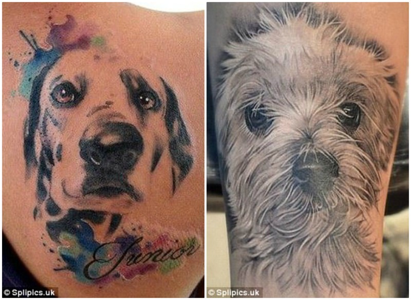 Это моя собака: памятные татуировки хозяев в честь любимых питомцев