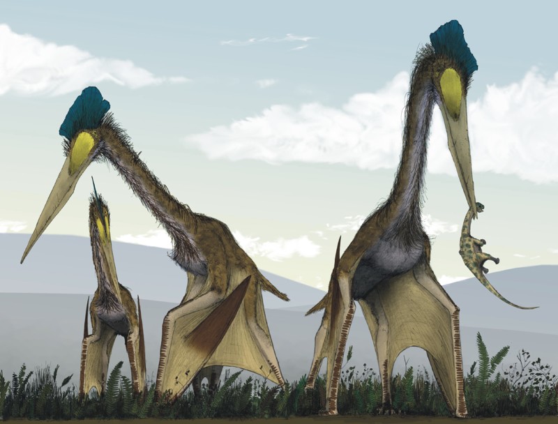  Кетцалькоатль (Quetzalcoatlus northropi) — крупнейшие птерозавры. Масса: 200 – 250 кг. Длина: 10 – 11 м Обитали вдали от моря, где охотились на мелких позвоночных или собирали падаль.