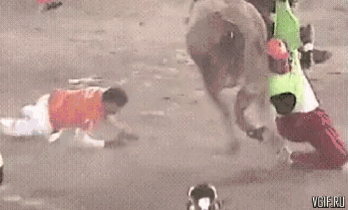 Схватка с быком
