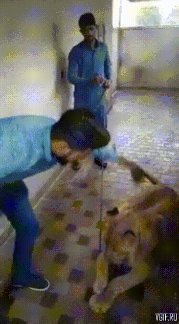 Еле ноги унес