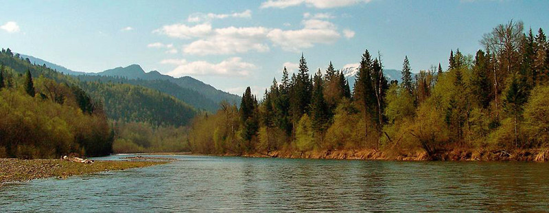 Байкальский заповедник