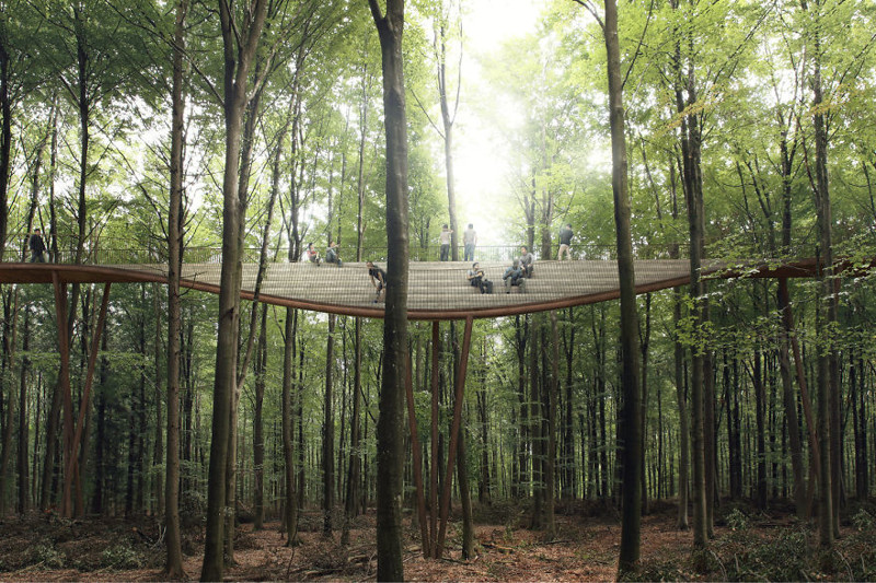 Проект спиральной дорожки между деревьями поможет взглянуть на датский лес с высоты птичьего полета