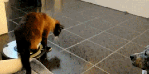 Атака противника