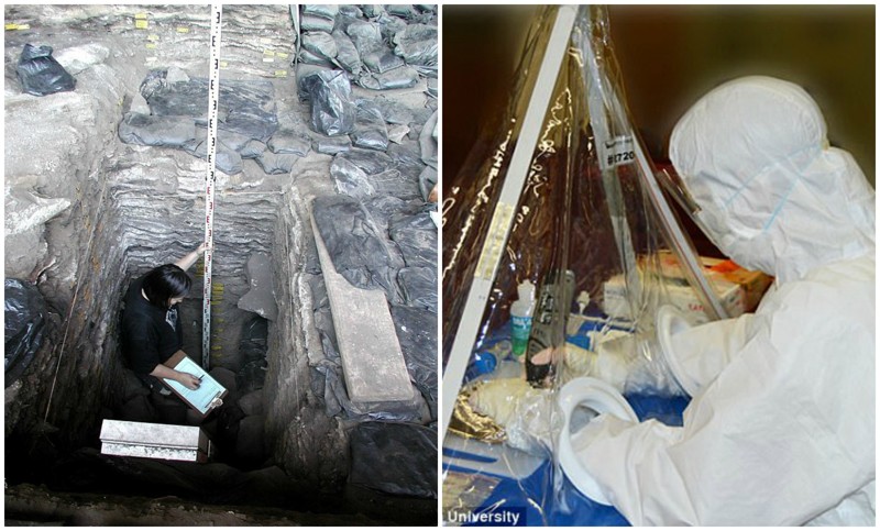 Команда шведских учёных из Уппсальского университета провела геномный анализ древних останков человека