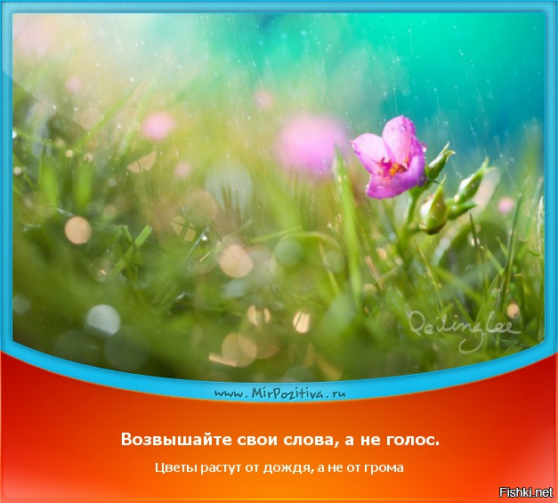 Выбирайте слова и не повышайте голос цветы растут от дождя а не от грома картинки