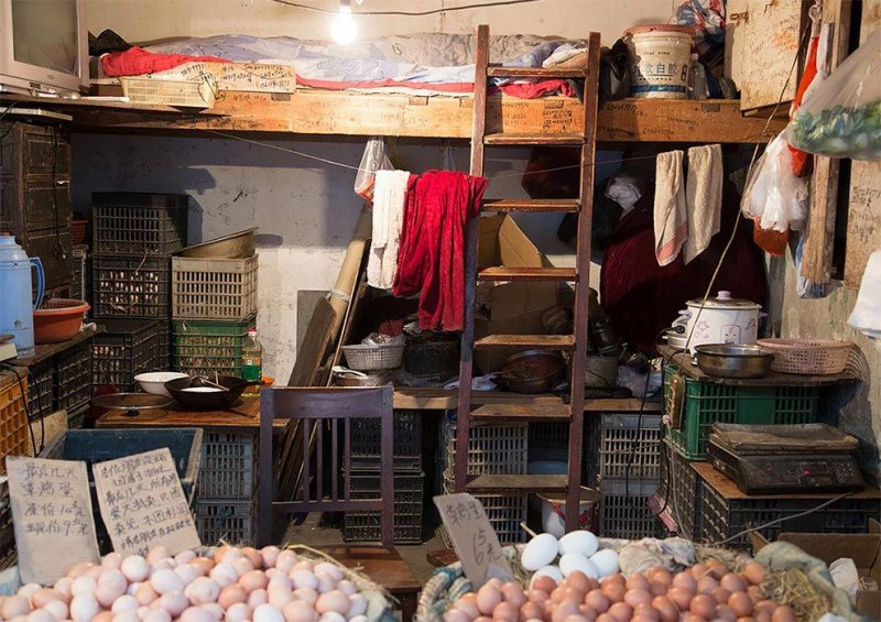 Тут я сплю, а тут продаю куриные (и еще какие-то) яйца