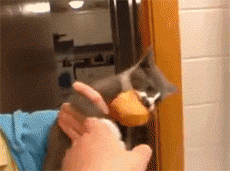 Вцепился намертво