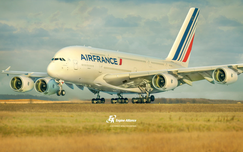 Авиакомпания Air France подтвердила, что один из двигателей был "сильно поврежден", но экипаж "отлично справился с чрезвычайной ситуацией"