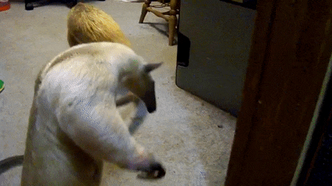 Что это было?