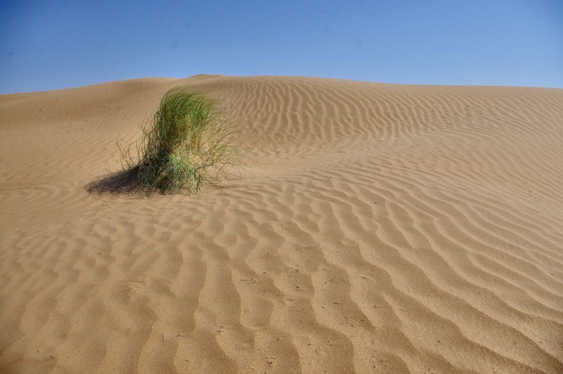 Около полтысячи километров дороги через пустыню Кызылкум, Узбекистан, пришлось проехать под палящим солнцем. Воздух раскалялся +55°С!