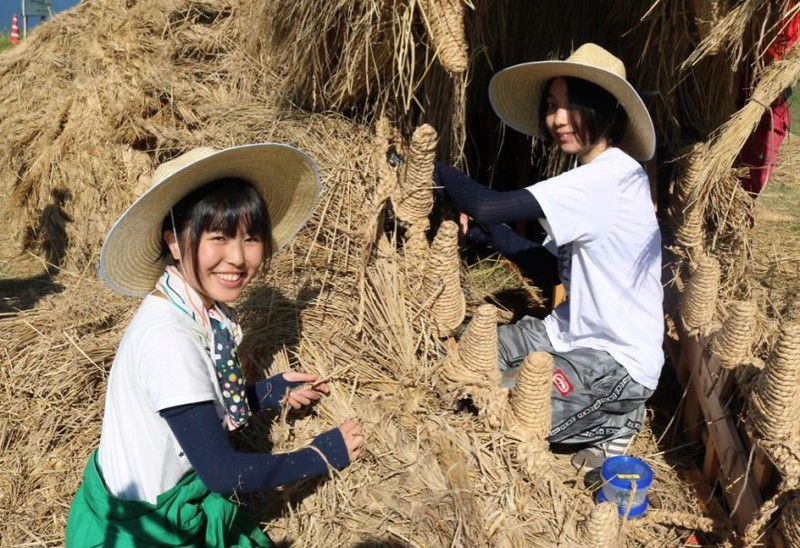 Гигантские животные из соломы с фестиваля Wara Art в Японии