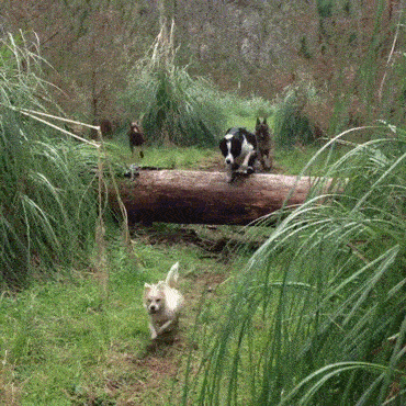 Когда ты самая маленькая