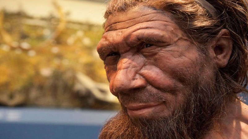 Сложно в это поверить, но до 2,6% вашей ДНК принадлежит неандертальцам