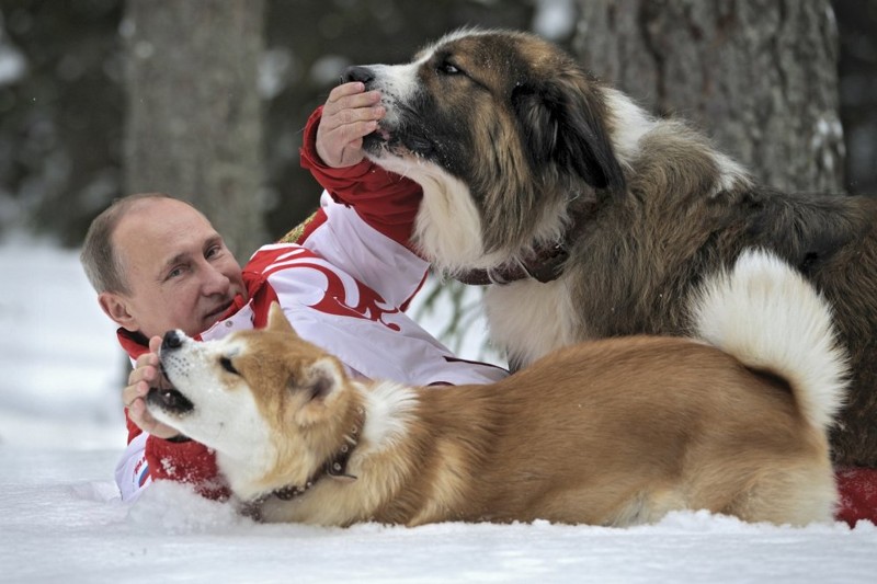 Путин и до этого оказывался с разными живыми существами в одном кадре. Вот его собаки, например.