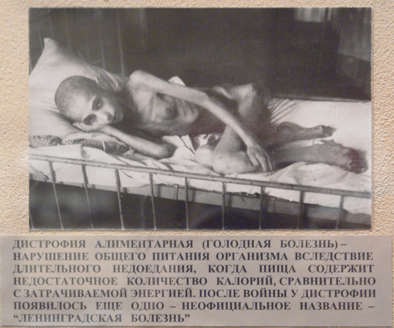 Стакан сахара