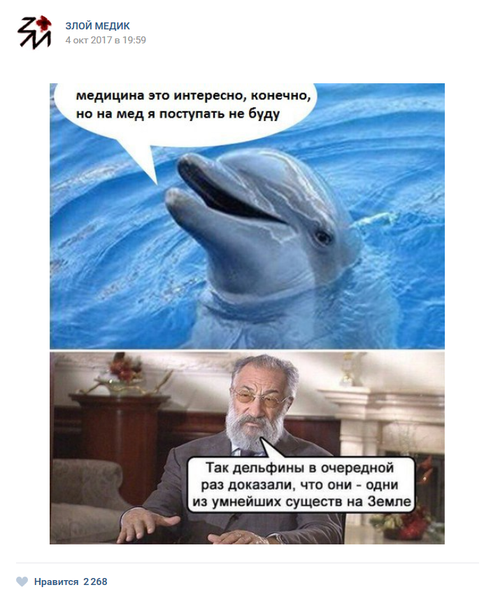 Так дельфины в очередной раз доказали. Дельфины в очередной. Самое умное существо на земле. В очередной раз доказывает. Муж в очередной раз