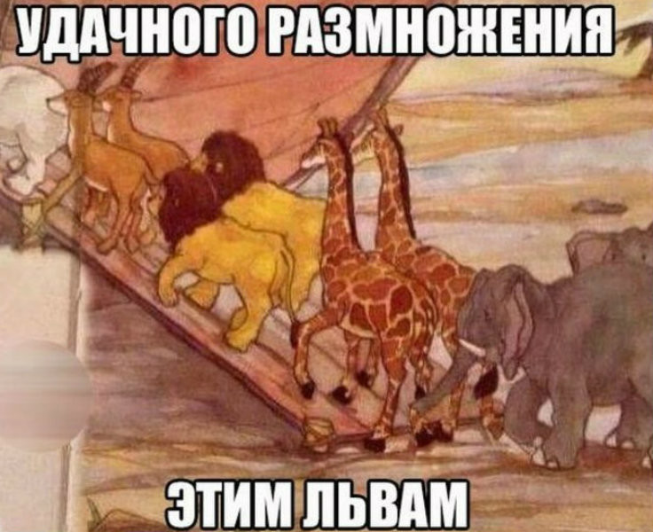 Смешные картинки с надписями