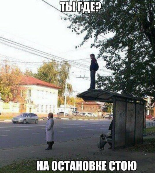 Смешные картинки с надписями