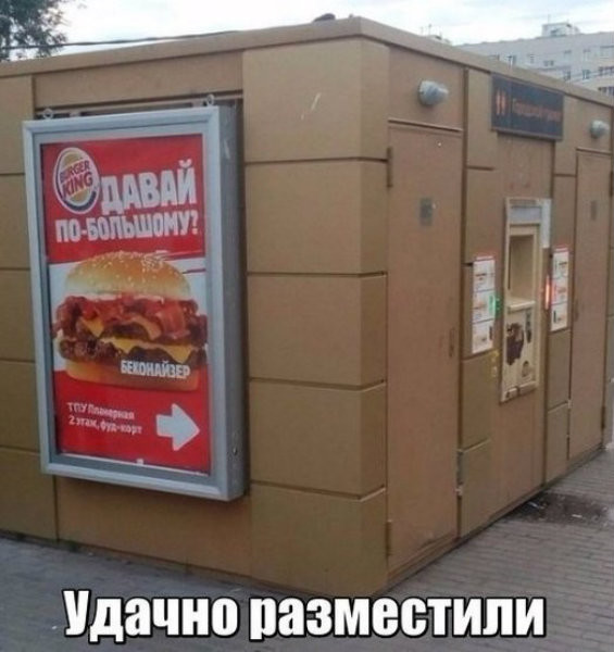 Смешные картинки с надписями