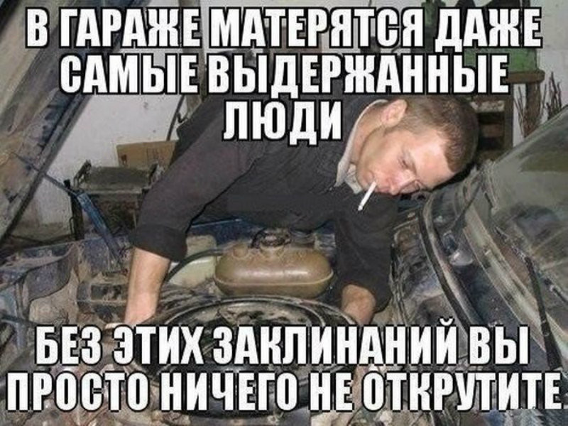 Смешные картинки с надписями
