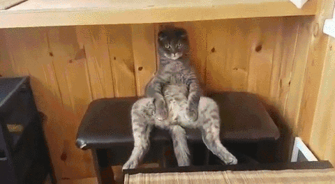 Прикольные гифки