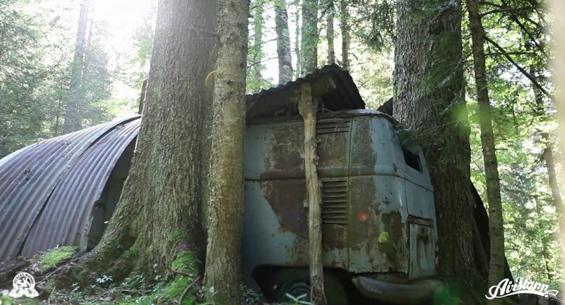 Спасение забытого в лесу Volkswagen T1 1955 года