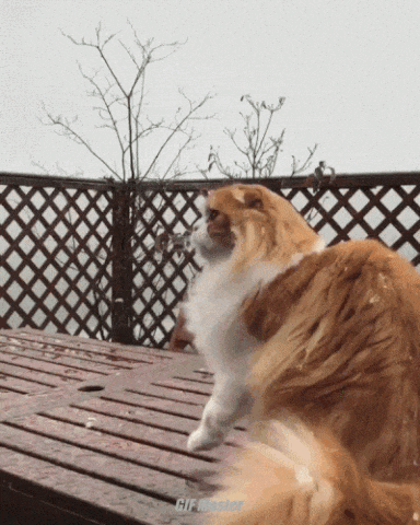 Кажется пришла зима