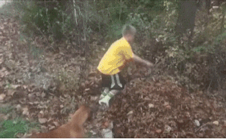 Солянка Солянка