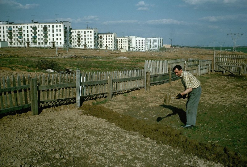 Огород на окраине Москвы. Зюзино, 1964 год
